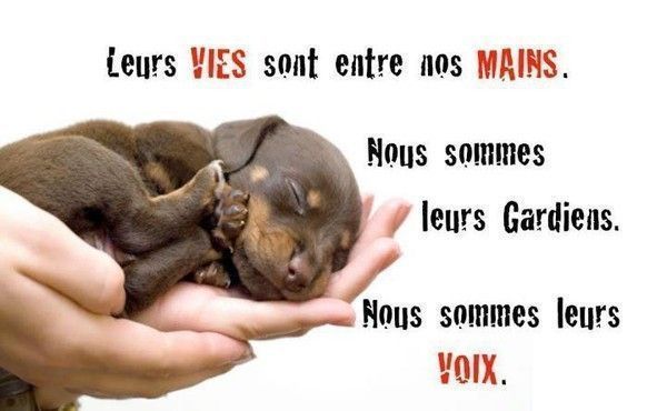 Association yoga rencontre montauban
